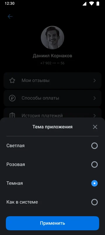 Экран выбора темы в RuStore