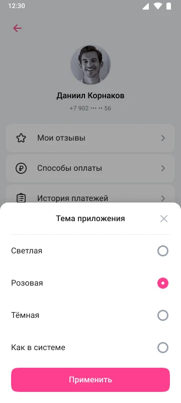 Применение выбранной темы