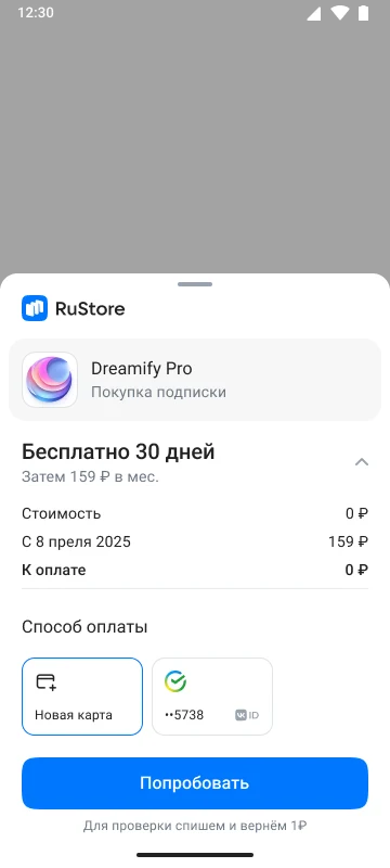 Детали подписки с разбивкой по платежам
