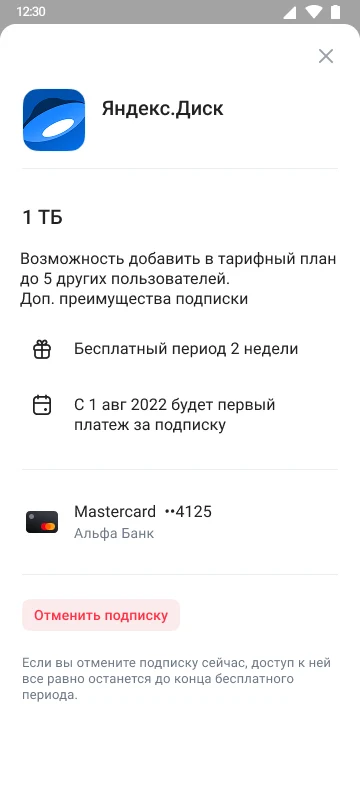 Детали активной подписки